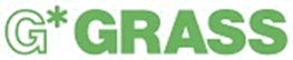 Grass
